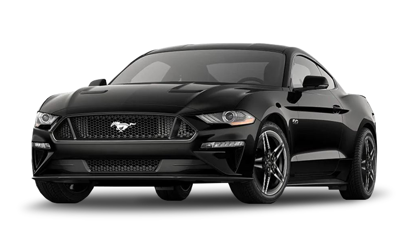 섀도우 익스테리어